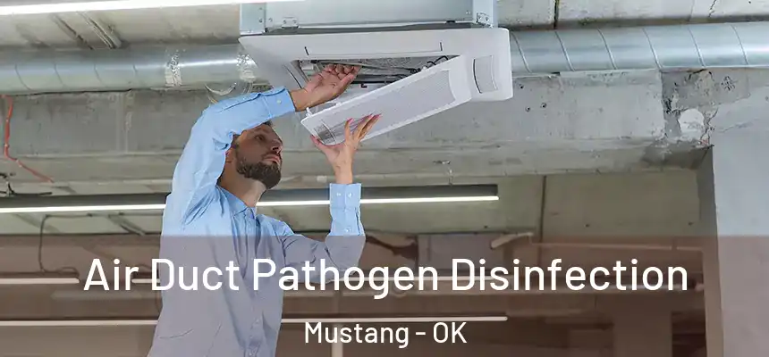  Air Duct Pathogen Disinfection Mustang - OK