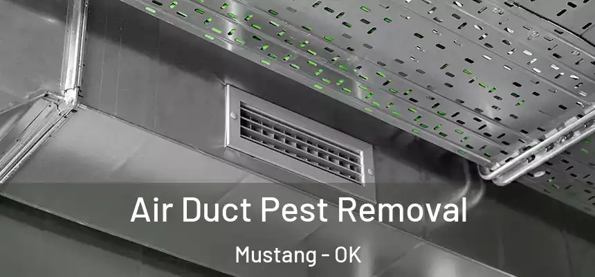  Air Duct Pest Removal Mustang - OK