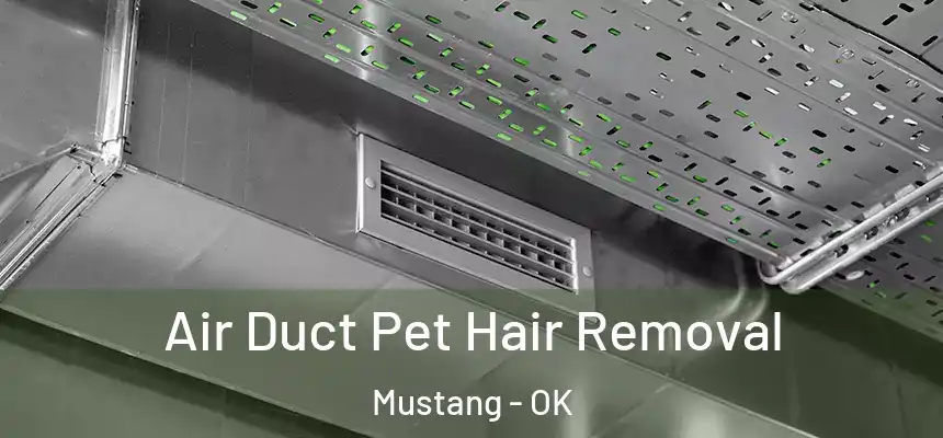  Air Duct Pet Hair Removal Mustang - OK