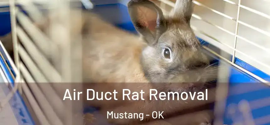  Air Duct Rat Removal Mustang - OK