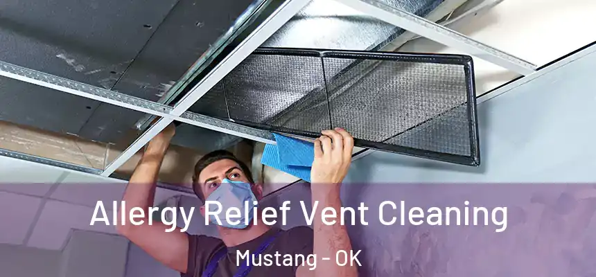  Allergy Relief Vent Cleaning Mustang - OK