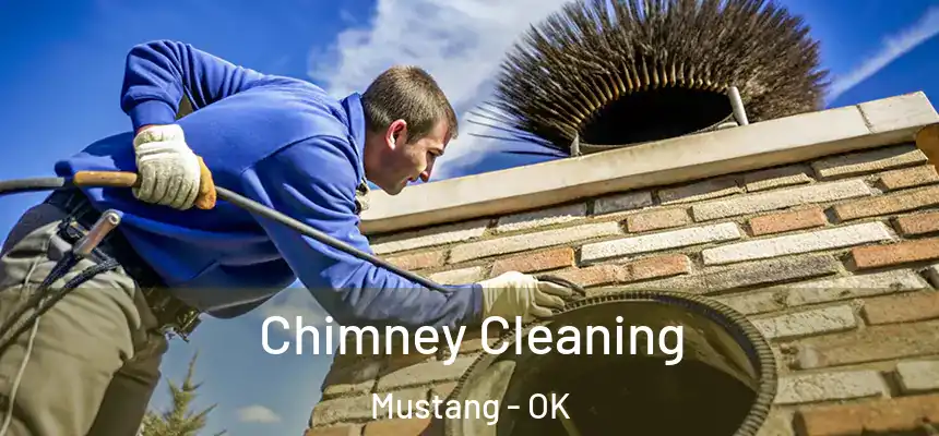  Chimney Cleaning Mustang - OK
