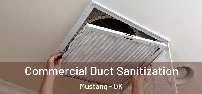  Commercial Duct Sanitization Mustang - OK