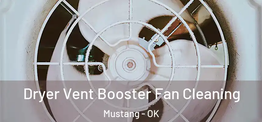  Dryer Vent Booster Fan Cleaning Mustang - OK