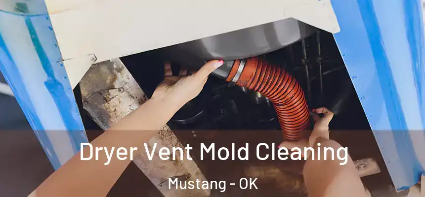 Dryer Vent Mold Cleaning Mustang - OK