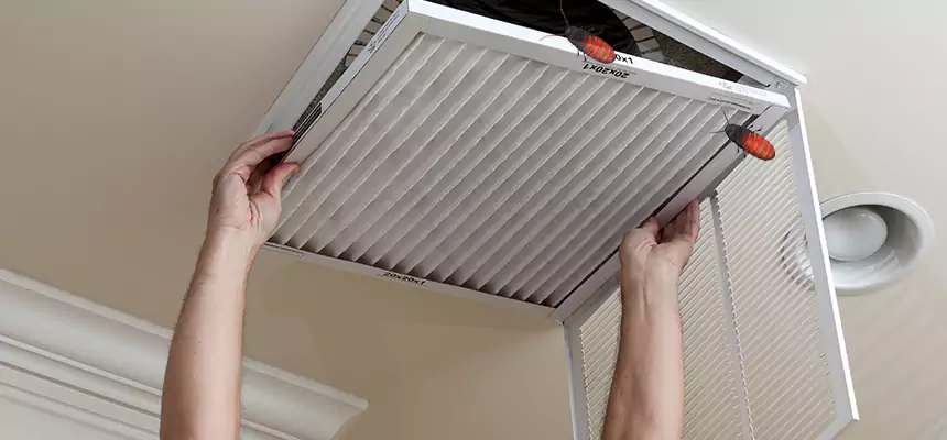 Preventive Cockroach-Proofing for Ducts in Mustang
