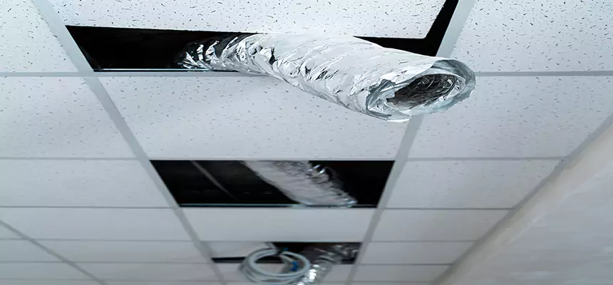 Affordable HVAC Sanitizing After Pest Removal in Mustang