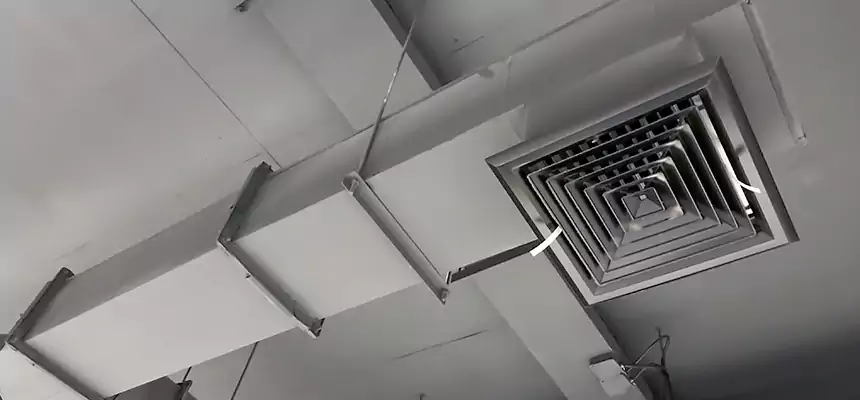 Our Rodent Droppings In Vents Services in Mustang, OK