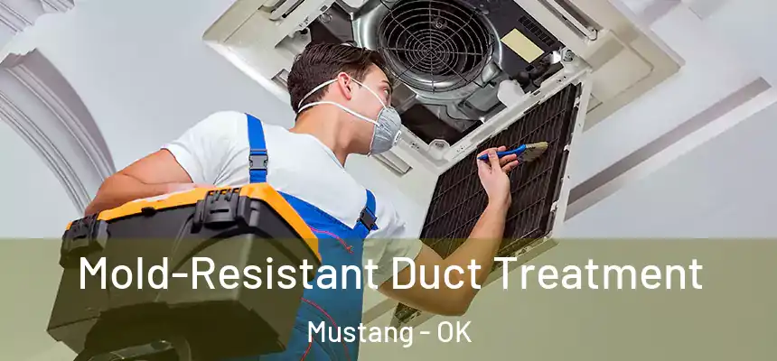  Mold-Resistant Duct Treatment Mustang - OK