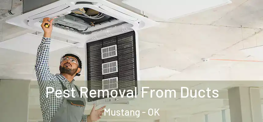  Pest Removal From Ducts Mustang - OK