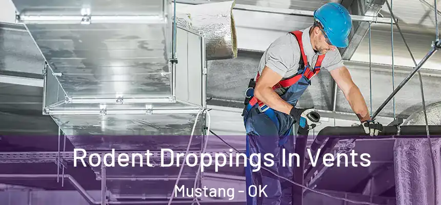  Rodent Droppings In Vents Mustang - OK