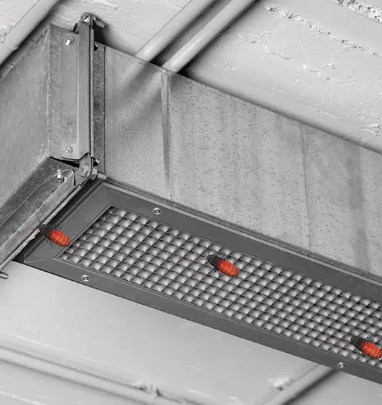 Affordable Insect Removal from Air Ducts in Mustang, OK
