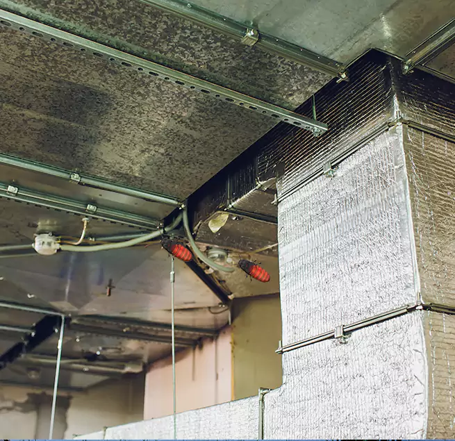 Why Homeowners & Businesses Trust Us in Mustang, OK?